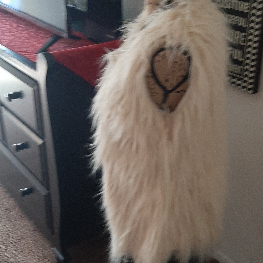 vest - Picture 2 of 5
